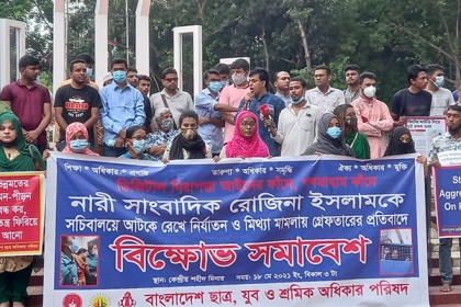 অন্য সাংবাদিকদের মনে ভয় ঢুকাতেই রোজিনাকে হেনস্তা: নূর 

