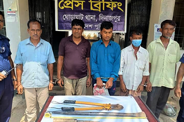 দিনাজপুরে চোরাই গরু উদ্ধারসহ আটক ৫ 