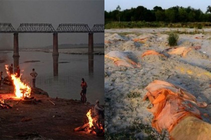 গঙ্গায় লাশের সারি, বিস্তীর্ণ নদীচরে সমাধি


