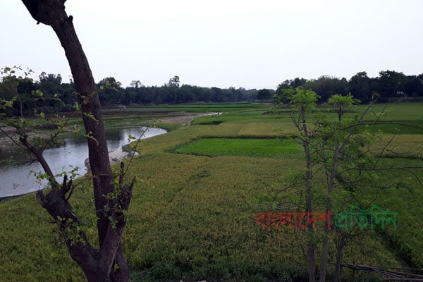 গর্ভেশ্বরী নদীর বুকজুড়ে ফসলের চাষ!