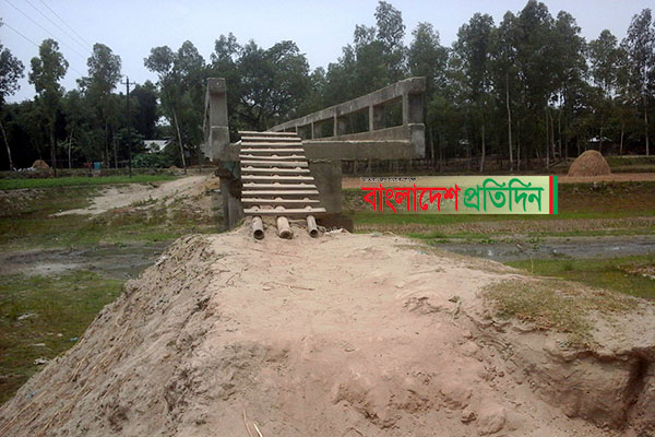 মই দিয়ে ব্রিজ পারাপার! 

