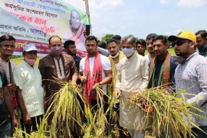 চট্টগ্রামে কৃষকের ধান কেটে দিল স্বেচ্ছাসেবক লীগ নেতারা