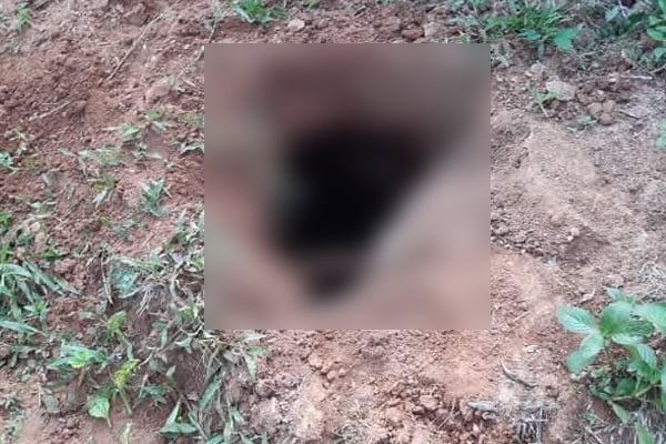 শ্রীপুরে কবর থেকে কঙ্কাল চুরি