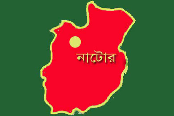 সিংড়ায় গাছ থেকে পড়ে লিচু ব্যবসায়ীর মৃত্যু

