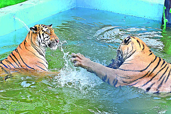 খুলনায় প্রচণ্ড দাবদাহে দুর্বিষহ জনজীবন