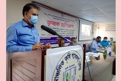 কীটনাশক প্রয়োগ না করেও দমন করা যায় ক্ষতিকর পোকামাকড়