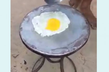 প্রচণ্ড রোদের তাপে ডিম ভাজি করার ভিডিও ভাইরাল

