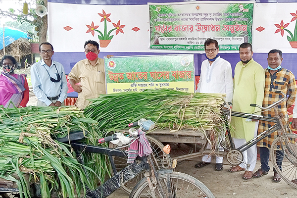 দিনাজপুরে ‘ঘাসের বাজার’ উদ্বোধন