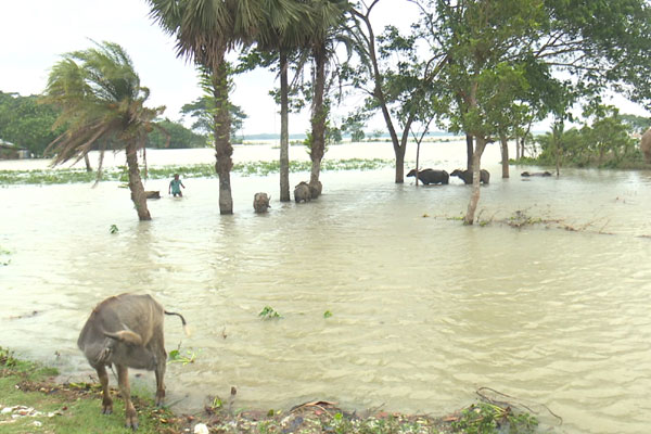 
ইয়াসের প্রভাবে বরিশালে ১২ পয়েন্টে বাঁধে ভাঙন; এক হাজার ঘরবাড়ি ক্ষতিগ্রস্ত