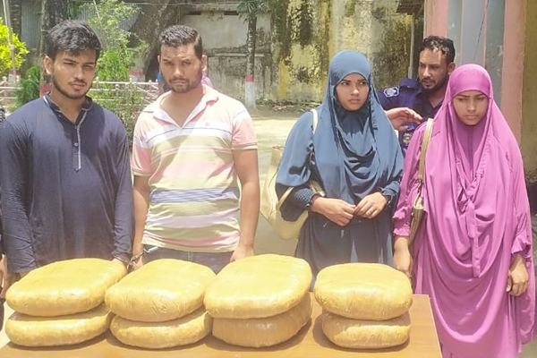 নবীনগরে ১৬ কেজি গাঁজার চালানসহ মাদক কারবারি গ্রেফতার