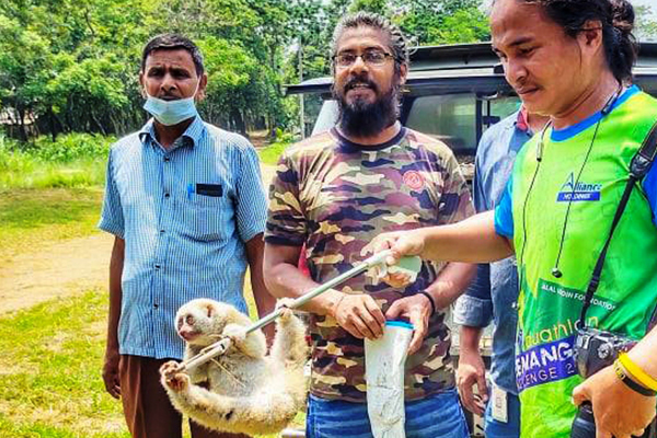 ১৫০ কিলোমিটার পথ পাড়ি দিয়ে বানর উদ্ধার