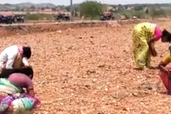 জমি খুঁড়তেই উঠে এল ৩০ ক্যারেটের হীরা!