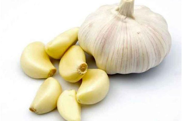 চুল পড়া প্রতিরোধে রসুন