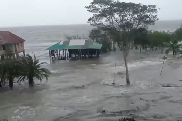 ঘূর্ণিঝড় ইয়াসে সুন্দরবনের প্রাণ-প্রকৃতির ব্যাপক ক্ষতি