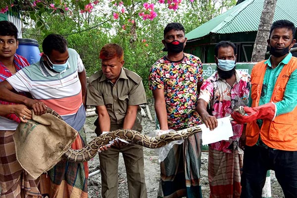 লোকালয় থেকে ৯ ফুট লম্বা অজগর উদ্ধার