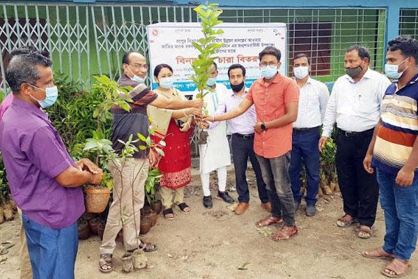 ডিমলায় বিনামূল্যে বৃক্ষচারা বিতরণ