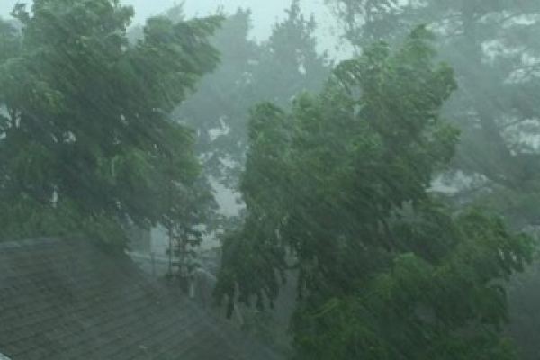 থেমে থেমে বৃষ্টি হচ্ছে নাটোরে 
