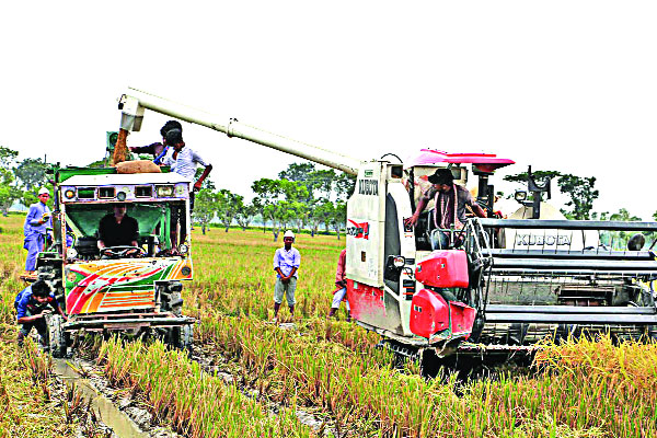 সময় ও অর্থসাশ্রয়ী কৃষিযন্ত্র উদ্ভাবন