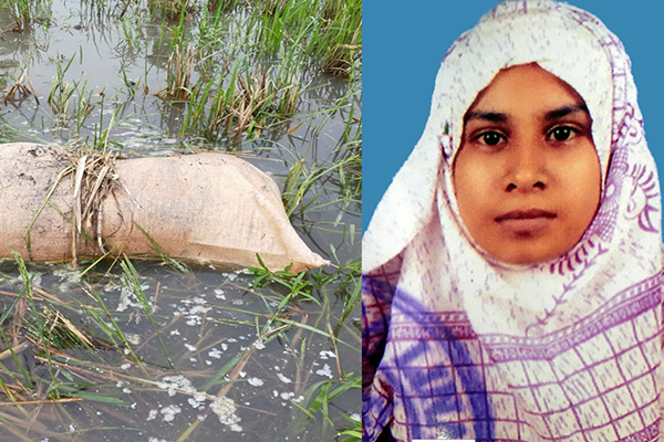 বগুড়ার কলেজছাত্রীর লাশ বরিশালে ধানক্ষেত থেকে উদ্ধার, স্বামী গ্রেফতার