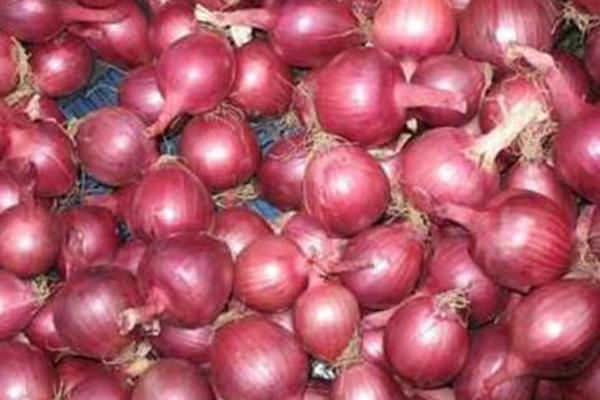 পাইকারি বাজারে কমেছে পিঁয়াজের দাম