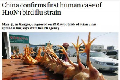 চীনে এবার মানবদেহে 'বার্ড ফ্লু' শনাক্ত!