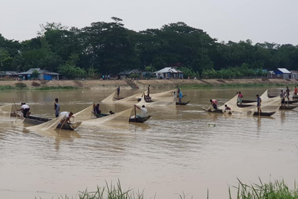 হালদায় দ্বিতীয় দফায় ডিম ছাড়ল মা মাছ