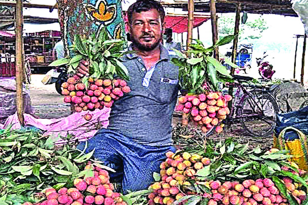 দিনাজপুরে এবার লিচুর বাজার চড়া