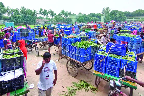 ক্রেতা কম বানেশ্বরে, হতাশ আম চাষিরা
