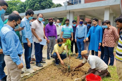 পরিবেশ দিবসে ৩১তম বিসিএস ক্যাডার অ্যাসোসিয়েশনের বৃক্ষরোপণ