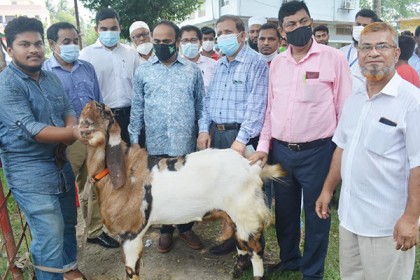 বরিশালে দিনব্যাপী প্রাণিসম্পদ প্রদর্শনী অনুষ্ঠিত