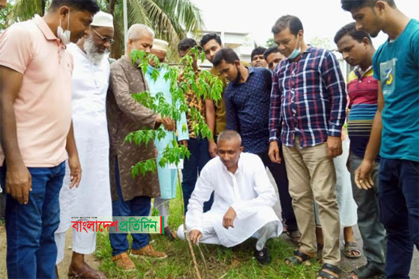 চরফ্যাশনে বিশ্ব পরিবেশ দিবসে বৃক্ষরোপণ অভিযান