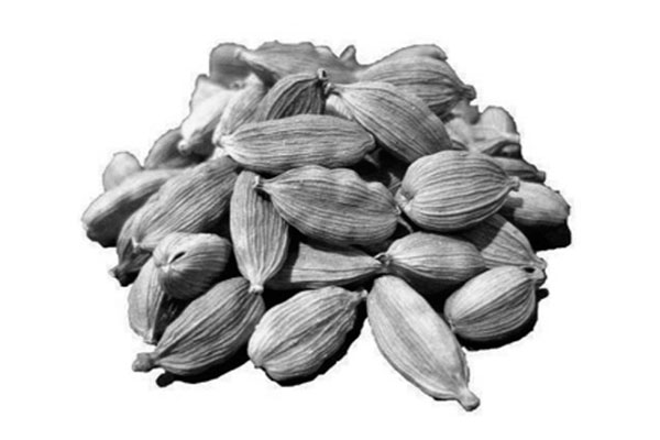 এলাচের যত গুণ