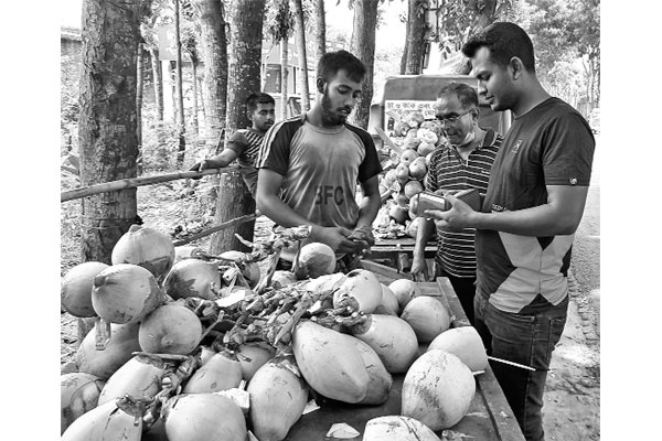 মানিকগঞ্জে তালের শাঁস ও ডাব বিক্রির ধুম