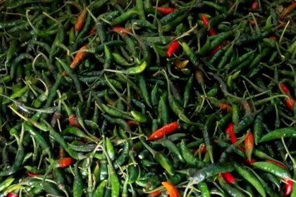 রোগ প্রতিরোধ ক্ষমতা বাড়ায় কাঁচা মরিচ