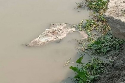 গঙ্গায় ভেসে আসছে মরদেহ, মালদহে আতঙ্ক