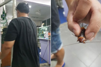 আহত তেলাপোকাকে বাঁচাতে হাসপাতালে নিয়ে গেলেন এক ব্যক্তি


