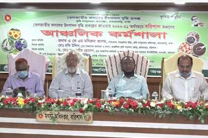 তেলজাতীয় ফসলের উৎপাদন বৃদ্ধি বিষয়ক আঞ্চলিক কর্মশালা
