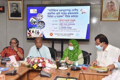 ‘দেশীয় মাছ রক্ষায় প্রজনন সময় নির্ধারণ করে নিষিদ্ধকাল আরোপ করা হবে’