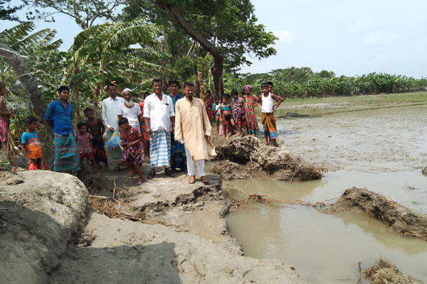 নোয়াখালীতে মহামারী-দুর্যোগের মধ্যে ইউপি নির্বাচন! পেছানোর আবেদন প্রার্থীদের