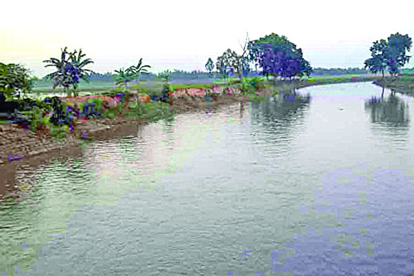 নীল দরিয়া আলোর মুখ দেখছে না