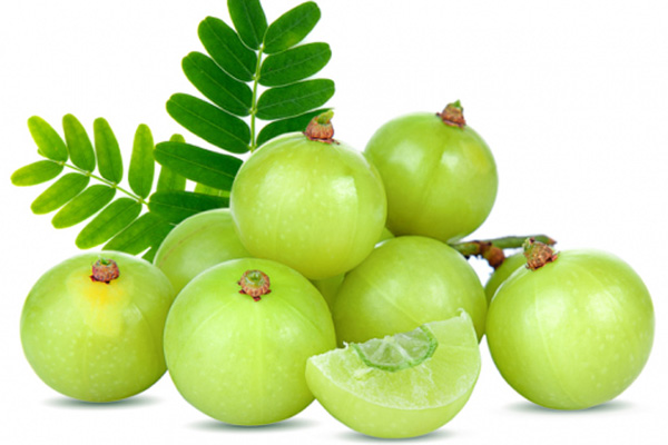 চুল পড়া বন্ধ করে আমলকী