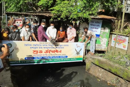 মশক নিধনে ময়মনসিংহ নগরীর খালে ৫০ হাজার মশাখেকো মাছ