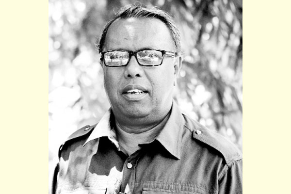 আমের নাম মিয়াজাকি
