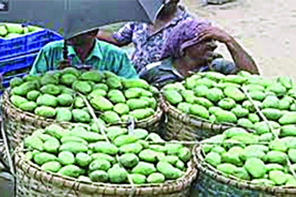 সকালে চড়া বিকালে খরা