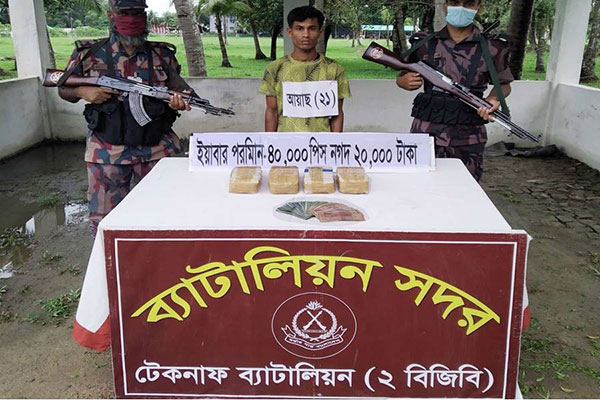 টেকনাফে মাদক কারবারীর বাড়ি থেকে ইয়াবা উদ্ধার  