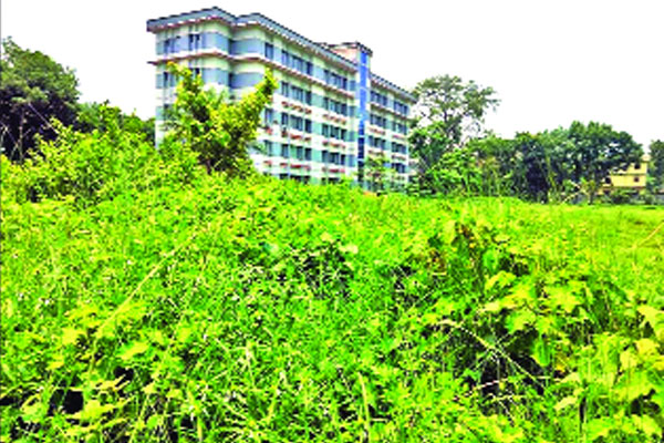 বন্ধ ক্যাম্পাসে সবুজের সমারোহ