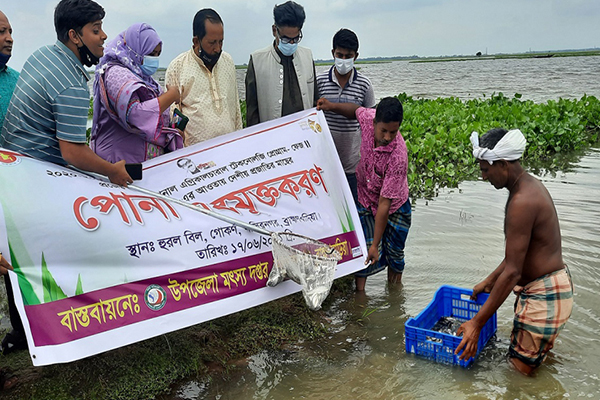 নাসিরনগরে জলাশয়ে মাছের পোনা অবমুক্ত