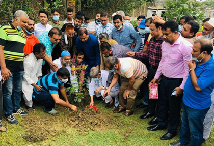 দেশজুড়ে নিম গাছ লাগাবে বিএনপি