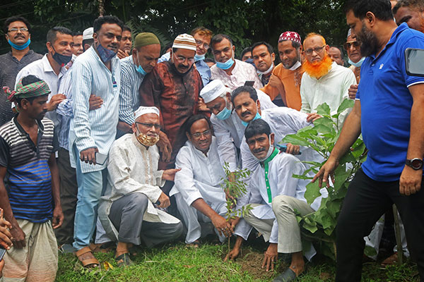 টাঙ্গাইলে বিএনপির উদ্যোগে বৃক্ষরোপণ