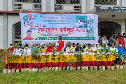 গাজীপুরে মহানগর যুবলীগের বৃক্ষরোপণ কর্মসূচি